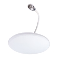SISO Low Profile Omni Ceiling Cellular Antenna Aerial